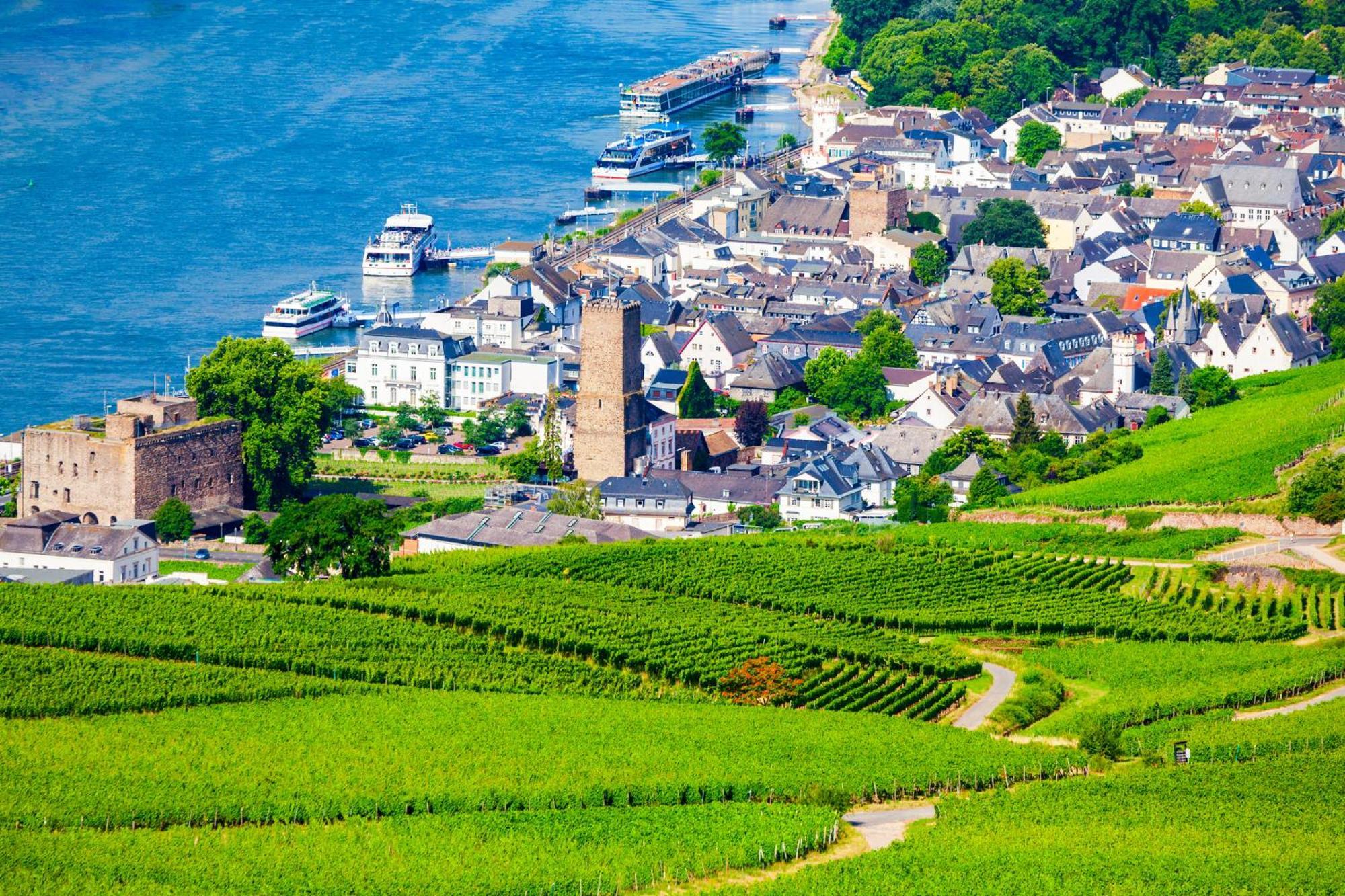 Labed - Auf Weingut Mit Privater Terrasse, Zentral Gelegen, Gratis Wlan
